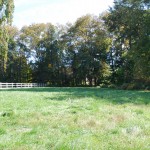 Building Lot, Haverford Township, Haverford, PA