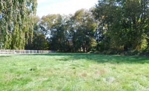Building Lot, Haverford Township, Haverford, PA
